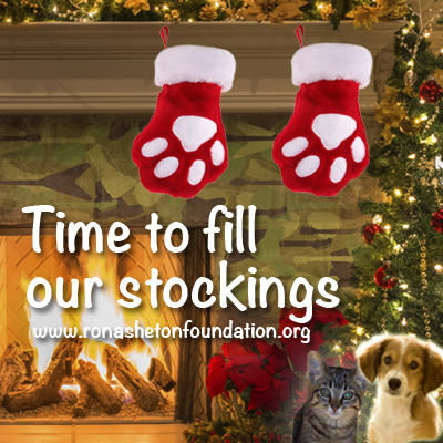 Time to fill our stockings